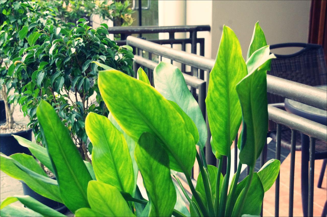 Citi Serviced Apartments & Motel - Lagatoi Place Πορτ Μόρεσμπι Εξωτερικό φωτογραφία